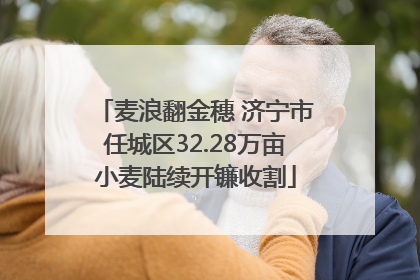 麦浪翻金穗 济宁市任城区32.28万亩小麦陆续开镰收割