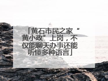 黄石市民之家“黄小政”上岗，不仅能聊天办事还能听懂多种语言