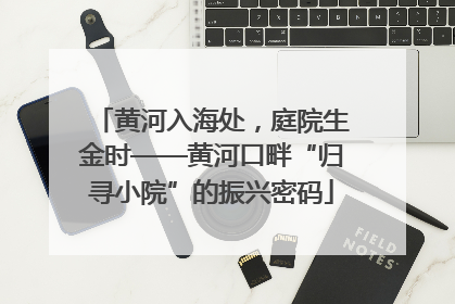 黄河入海处，庭院生金时——黄河口畔“归寻小院”的振兴密码