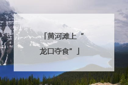 黄河滩上“龙口夺食”
