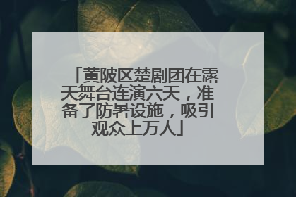 黄陂区楚剧团在露天舞台连演六天，准备了防暑设施，吸引观众上万人