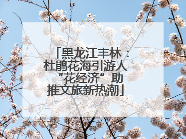 黑龙江丰林：杜鹃花海引游人 “花经济”助推文旅新热潮