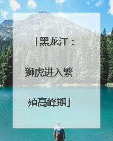 黑龙江：狮虎进入繁殖高峰期