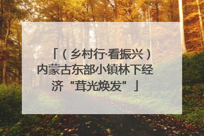 （乡村行·看振兴）内蒙古东部小镇林下经济“茸光焕发”