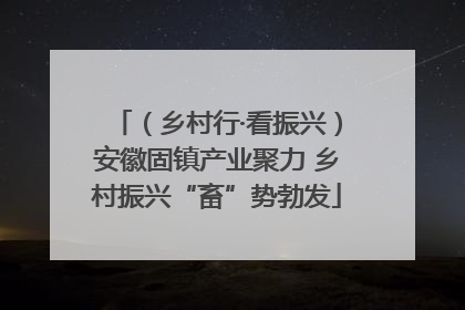 （乡村行·看振兴）安徽固镇产业聚力 乡村振兴“畜”势勃发