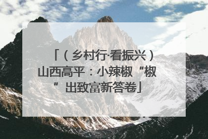 （乡村行·看振兴）山西高平：小辣椒“椒”出致富新答卷