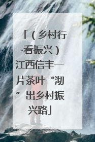 （乡村行·看振兴）江西信丰一片茶叶“沏”出乡村振兴路