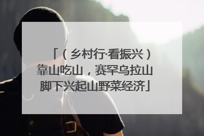 （乡村行·看振兴）靠山吃山，赛罕乌拉山脚下兴起山野菜经济