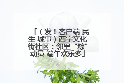 （发！客户端 民生 城事）西宁文化街社区：邻里“粽”动员 端午欢乐多