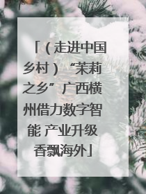 （走进中国乡村）“茉莉之乡”广西横州借力数字智能 产业升级香飘海外