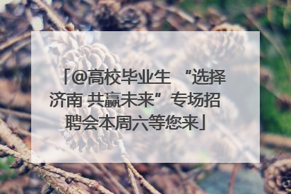 ＠高校毕业生 “选择济南 共赢未来”专场招聘会本周六等您来