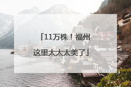 11万株！福州这里太太太美了
