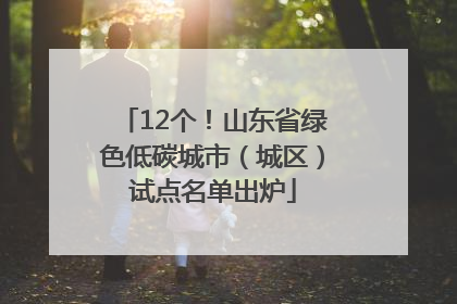 12个！山东省绿色低碳城市（城区）试点名单出炉