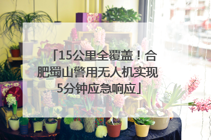 15公里全覆盖！合肥蜀山警用无人机实现5分钟应急响应