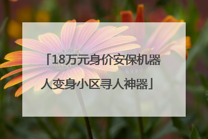 18万元身价安保机器人变身小区寻人神器