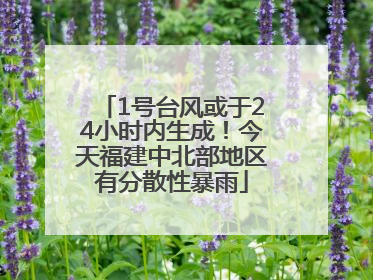 1号台风或于24小时内生成！今天福建中北部地区有分散性暴雨