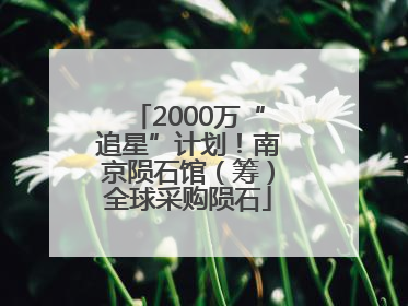 2000万“追星”计划！南京陨石馆（筹）全球采购陨石