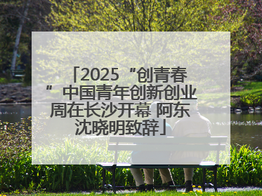 2025“创青春”中国青年创新创业周在长沙开幕 阿东沈晓明致辞