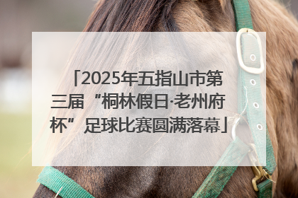 2025年五指山市第三届“桐林假日·老州府杯”足球比赛圆满落幕