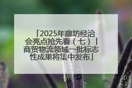2025年廊坊经洽会亮点抢先看（七）丨商贸物流领域一批标志性成果将集中发布