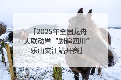 2025年全国龙舟大联动暨“划遍四川”乐山夹江站开赛