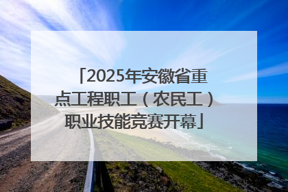 2025年安徽省重点工程职工（农民工）职业技能竞赛开幕