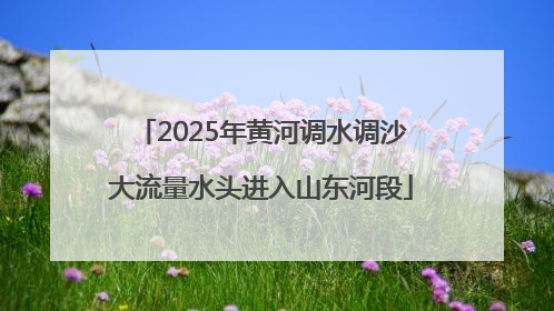 2025年黄河调水调沙大流量水头进入山东河段