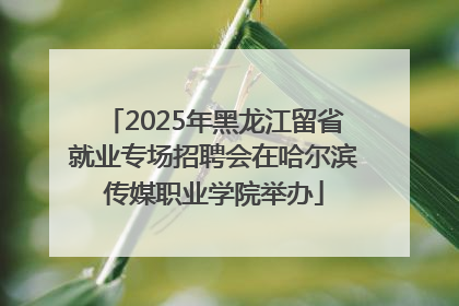 2025年黑龙江留省就业专场招聘会在哈尔滨传媒职业学院举办