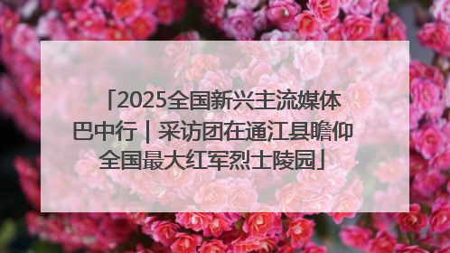 2025全国新兴主流媒体巴中行｜采访团在通江县瞻仰全国最大红军烈士陵园