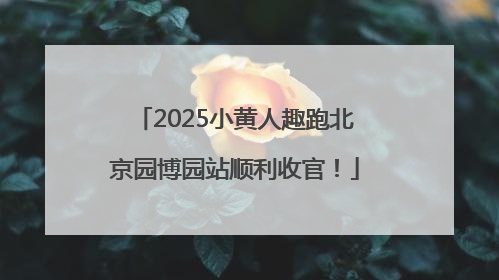 2025小黄人趣跑北京园博园站顺利收官！