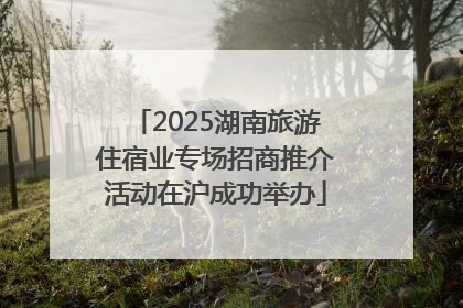 2025湖南旅游住宿业专场招商推介活动在沪成功举办