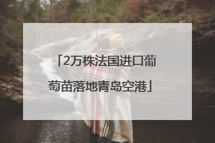 2万株法国进口葡萄苗落地青岛空港