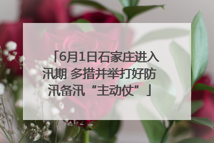 6月1日石家庄进入汛期 多措并举打好防汛备汛“主动仗”