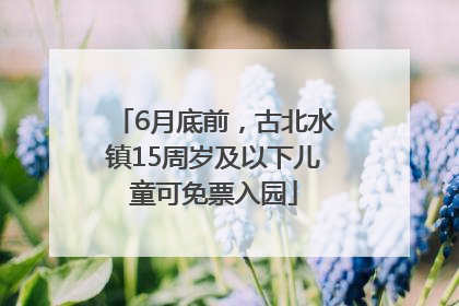 6月底前，古北水镇15周岁及以下儿童可免票入园