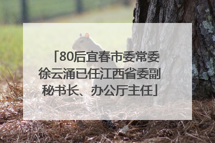 80后宜春市委常委徐云涌已任江西省委副秘书长、办公厅主任