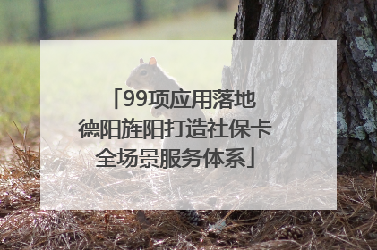 99项应用落地 德阳旌阳打造社保卡全场景服务体系