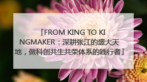 FROM KING TO KINGMAKER：深耕张江的盛大天地，做科创共生共荣体系的践行者