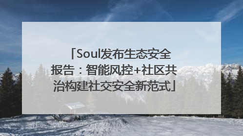 Soul发布生态安全报告：智能风控+社区共治构建社交安全新范式